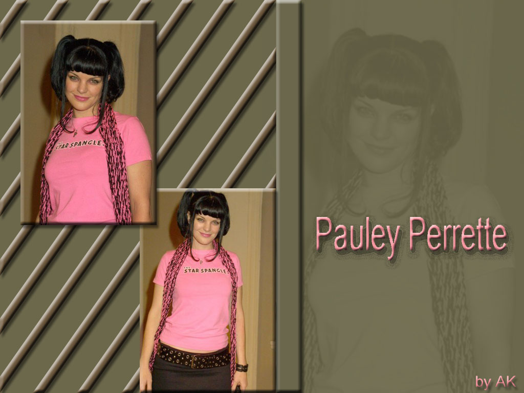 Pauley perrette