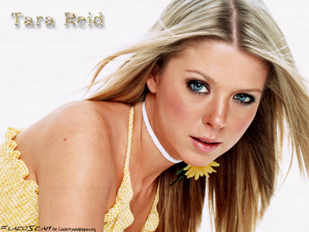 Tara reid